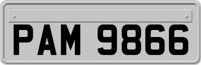 PAM9866
