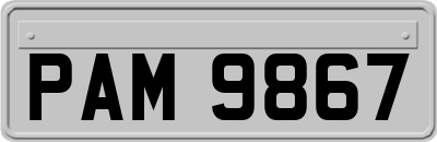 PAM9867