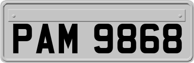 PAM9868