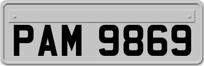 PAM9869