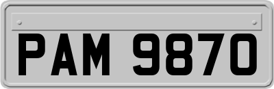 PAM9870