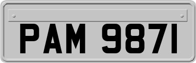 PAM9871