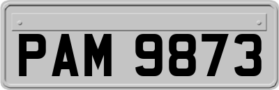 PAM9873
