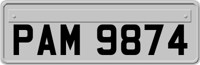 PAM9874