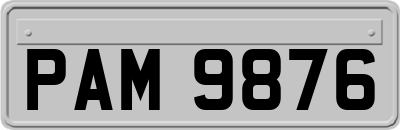 PAM9876