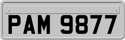 PAM9877