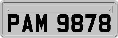 PAM9878