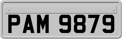 PAM9879