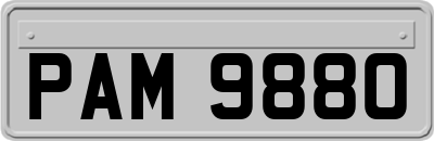 PAM9880