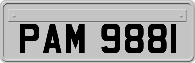 PAM9881