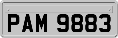 PAM9883
