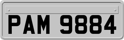 PAM9884