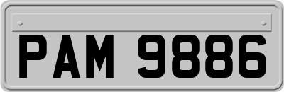 PAM9886