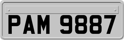 PAM9887