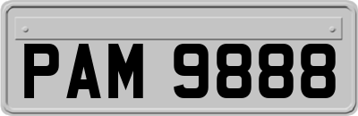 PAM9888