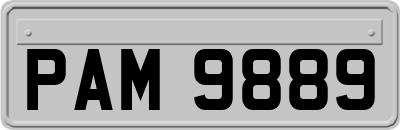 PAM9889