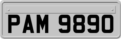 PAM9890