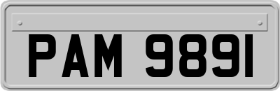 PAM9891