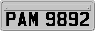 PAM9892