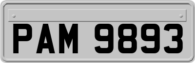 PAM9893