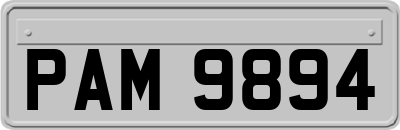 PAM9894