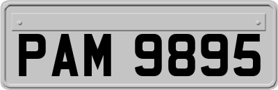 PAM9895