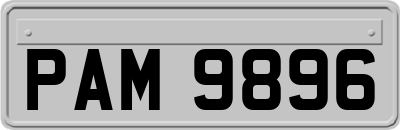 PAM9896