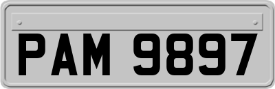 PAM9897