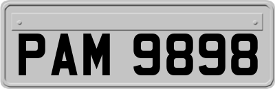 PAM9898