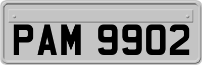 PAM9902