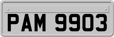 PAM9903