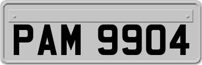PAM9904