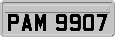 PAM9907