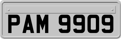 PAM9909