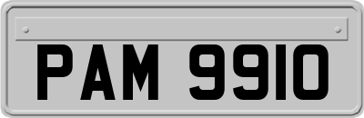 PAM9910