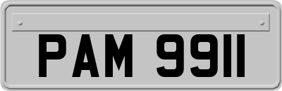 PAM9911