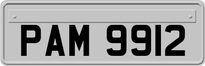 PAM9912