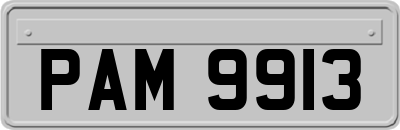 PAM9913