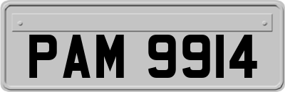 PAM9914