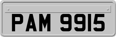 PAM9915
