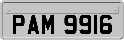 PAM9916