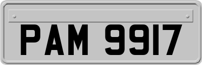 PAM9917