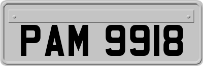 PAM9918