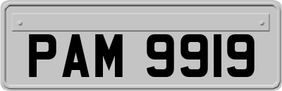 PAM9919