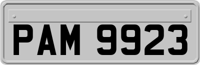 PAM9923