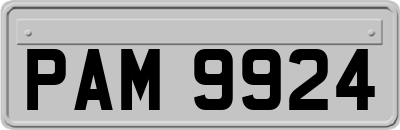 PAM9924