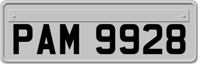 PAM9928