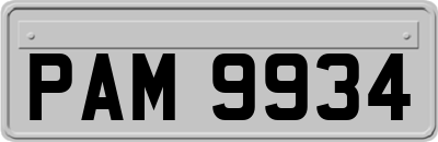 PAM9934