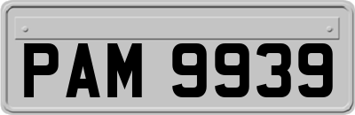 PAM9939