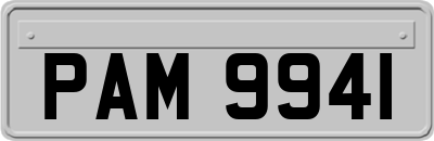 PAM9941